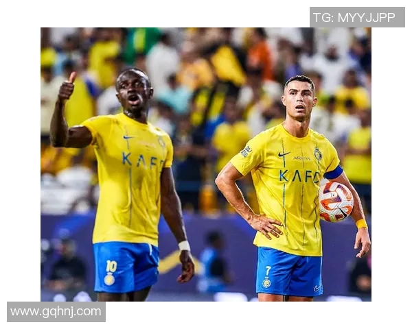 布赖代合作：推动全球经济复苏与可持续发展的新机遇与挑战